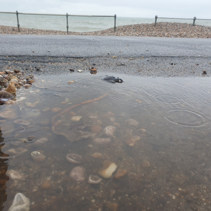 Bognor Regis Rainy day